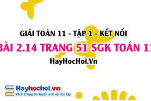 Giải bài 2.14 trang 51 Toán 11 tập 1 SGK Kết nối tri thức
